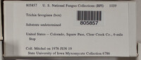 Image Associated With the Occurence